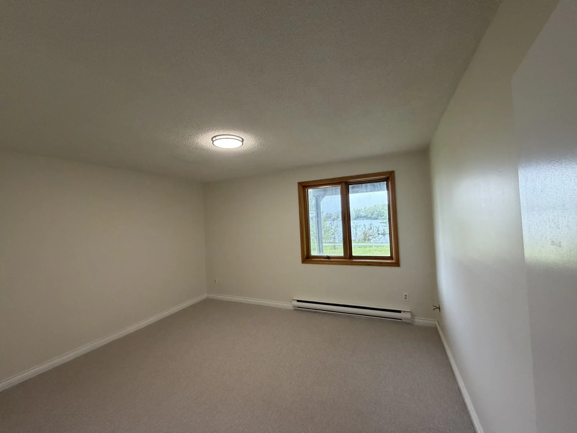 Lower-level carpeted bedroom with a window framing a lake view