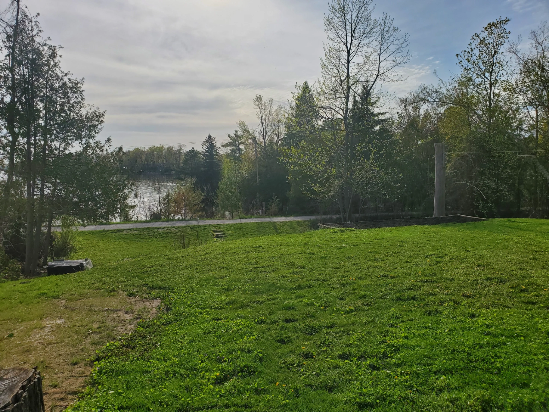 Lake view from the property through the trees