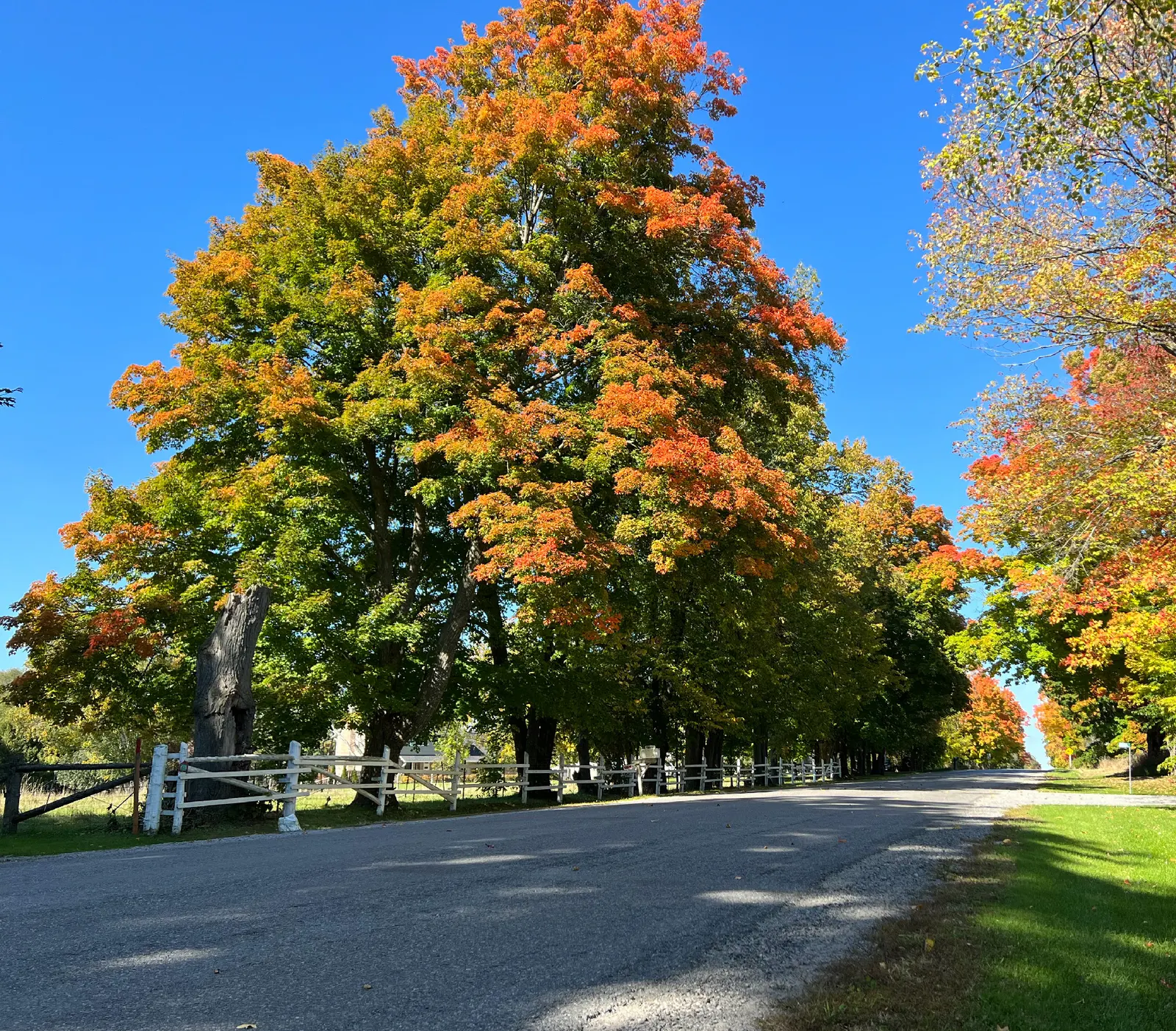 Fall colours scenic drives