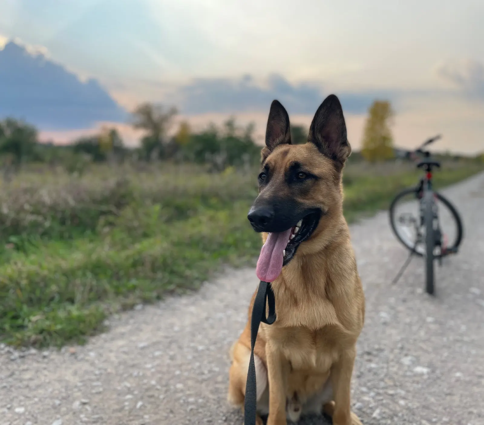 Explore local trails