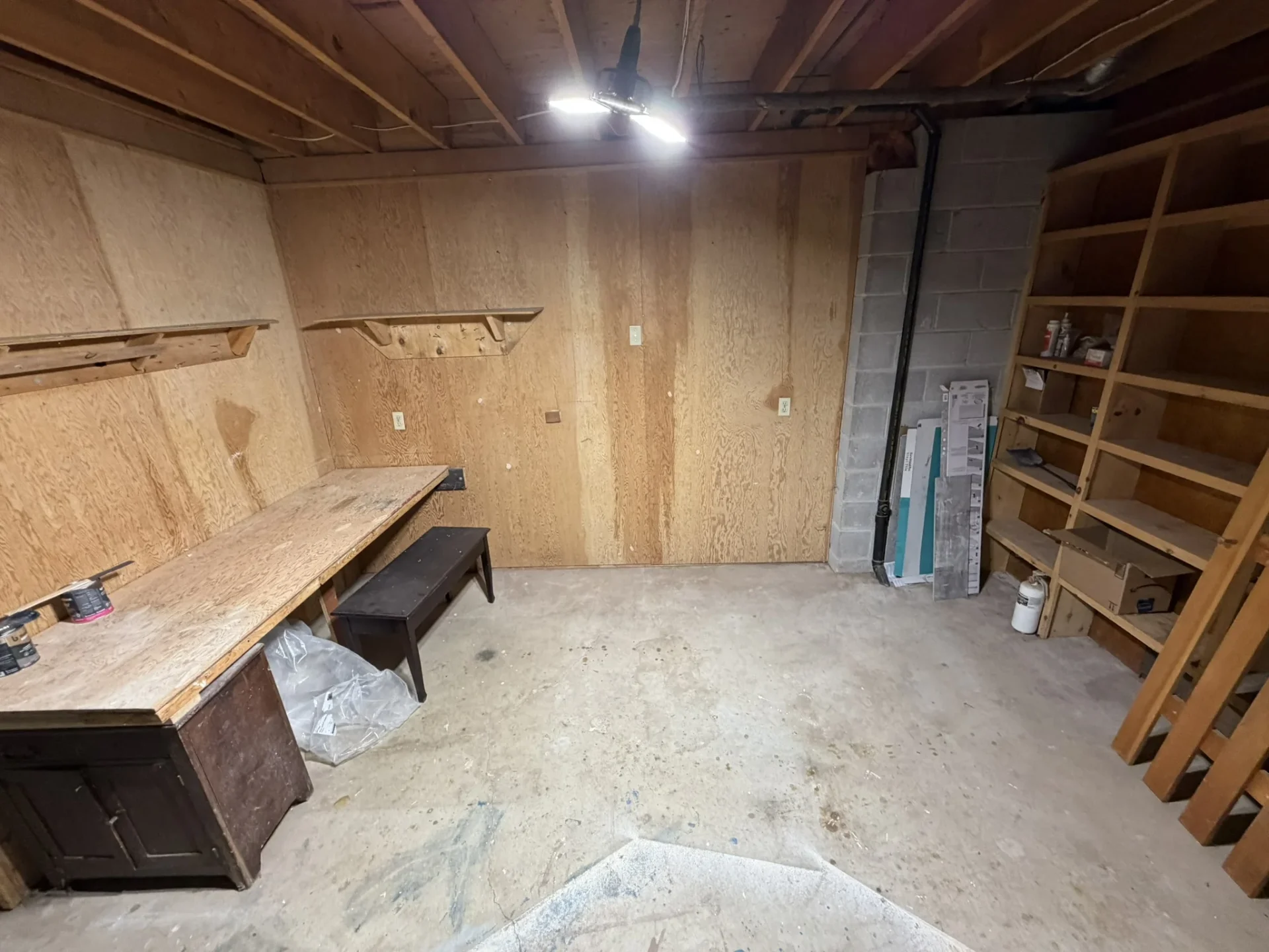 Storage area with shelves and dedicated cold cellar